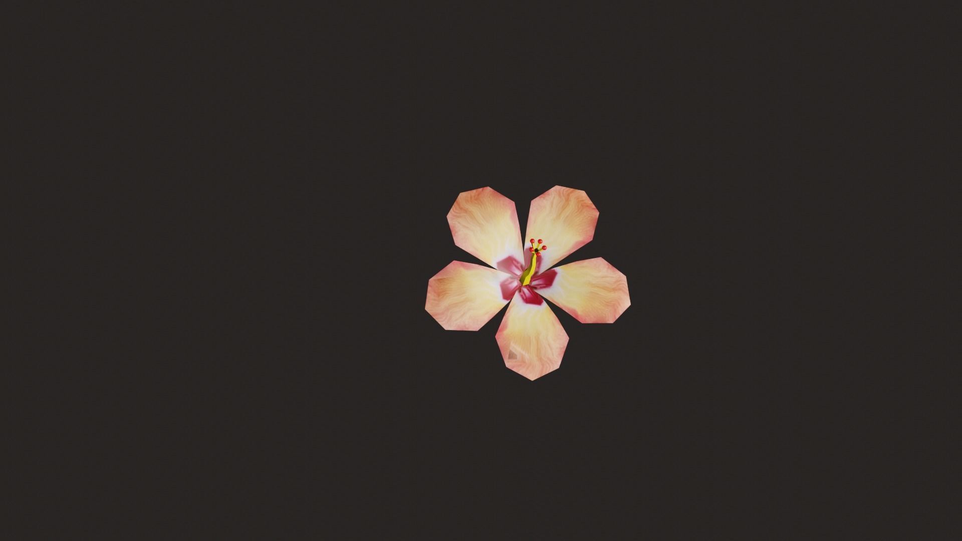 Hibiscus  Flower in Blender Low-poly 3D model_3