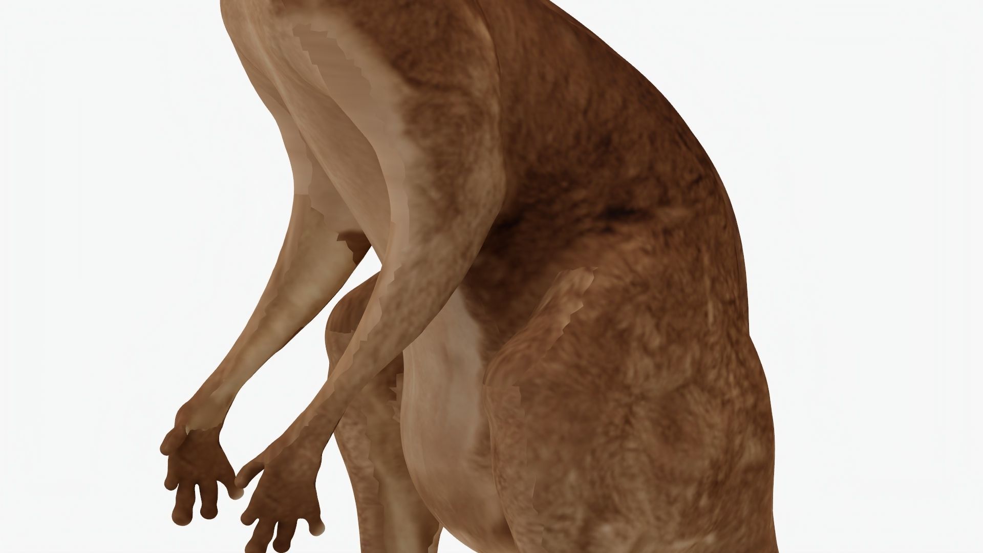 Low poly Kangaroo Low-poly 3D model_2