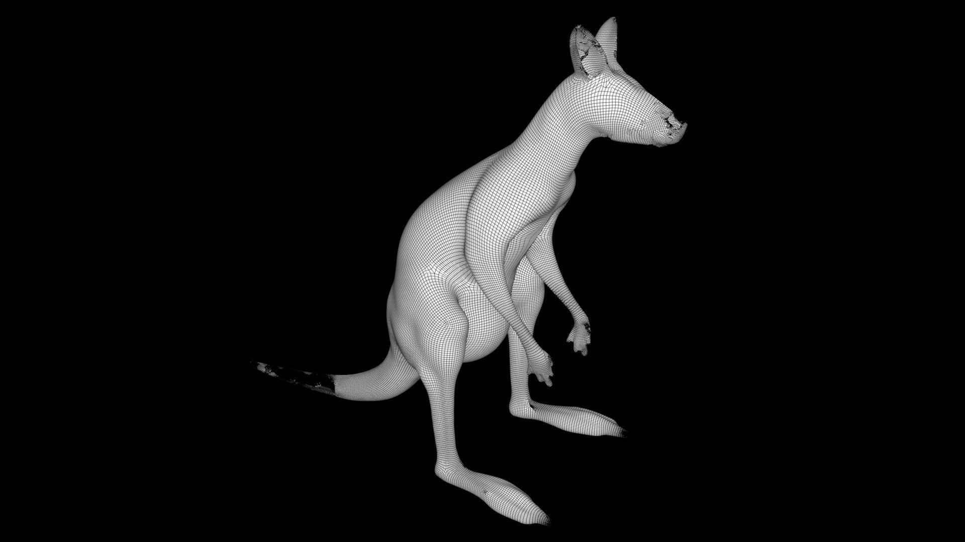 Low poly Kangaroo Low-poly 3D model_5