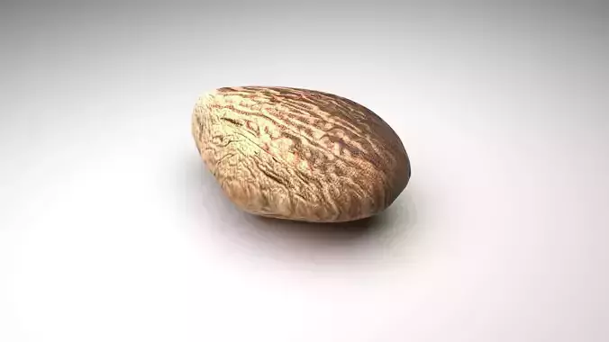 Nutmeg