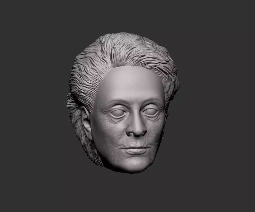 Head 55 3D print model_0
