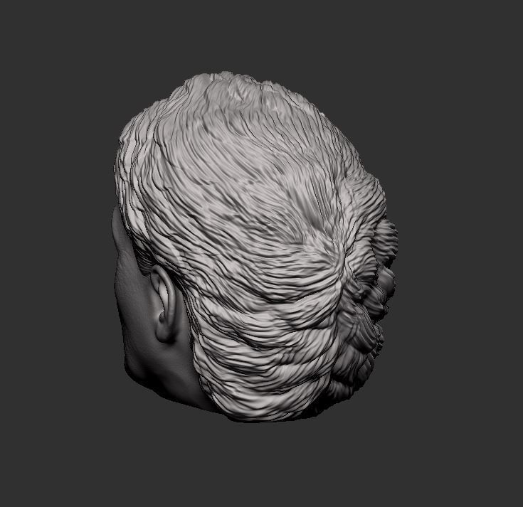 Head 55 3D print model_8