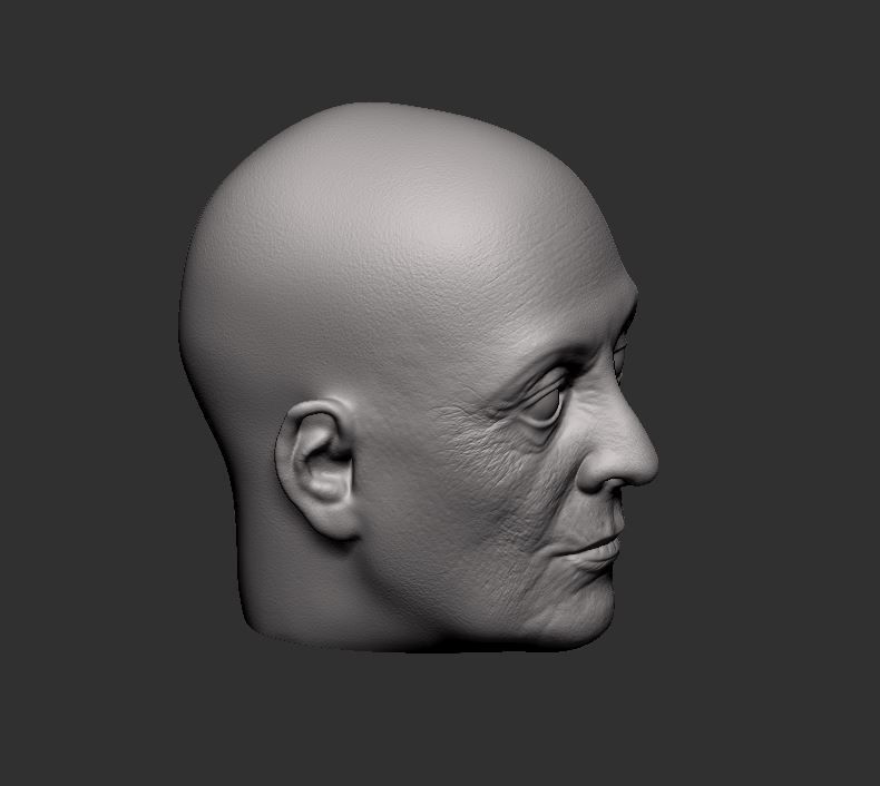 Head 55 3D print model_1
