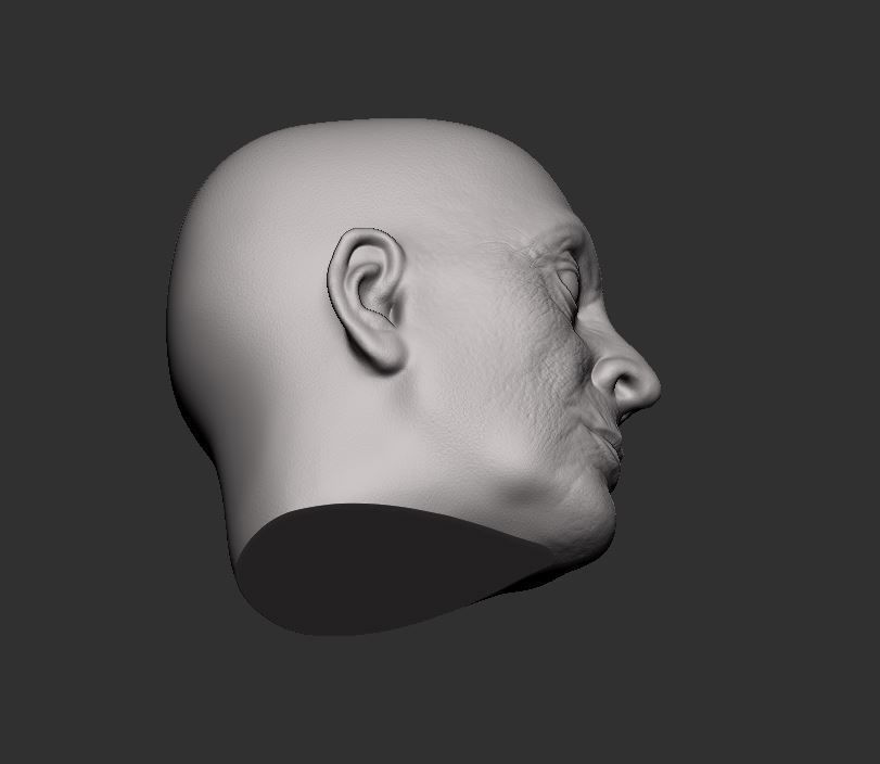 Head 55 3D print model_2