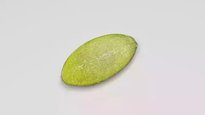 Peeled Pumpkin Seed 3D model