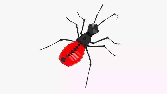 Bug low poly Low-poly 3D model