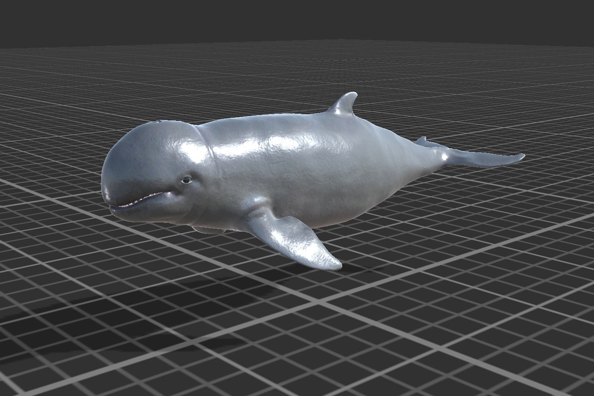 Irawaddy Dolphin Low-poly 3D model_3