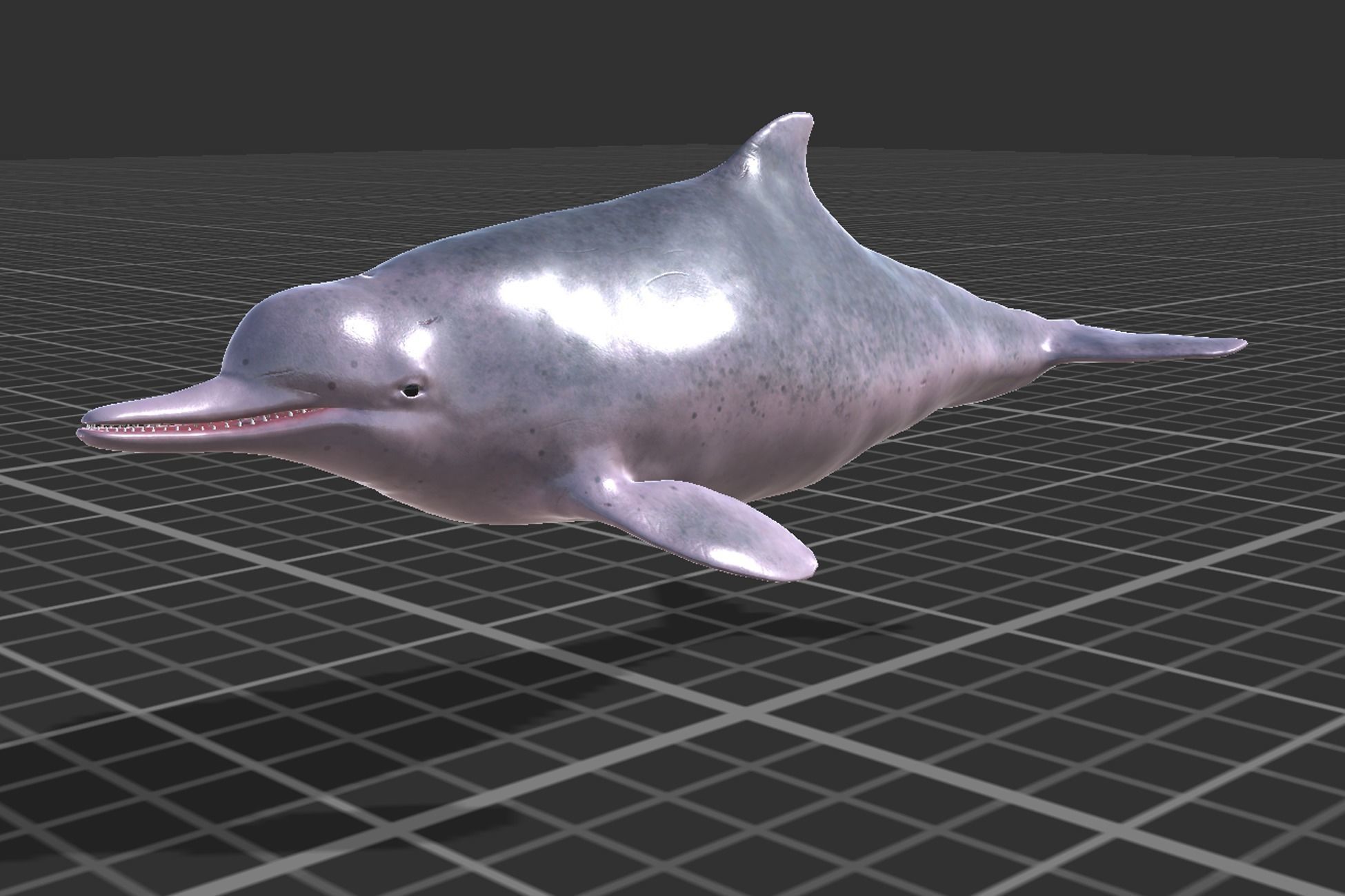 Chinese Dolphin Low-poly 3D model_3