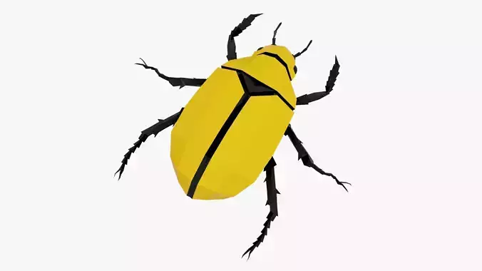Bug low poly polygonal beetle