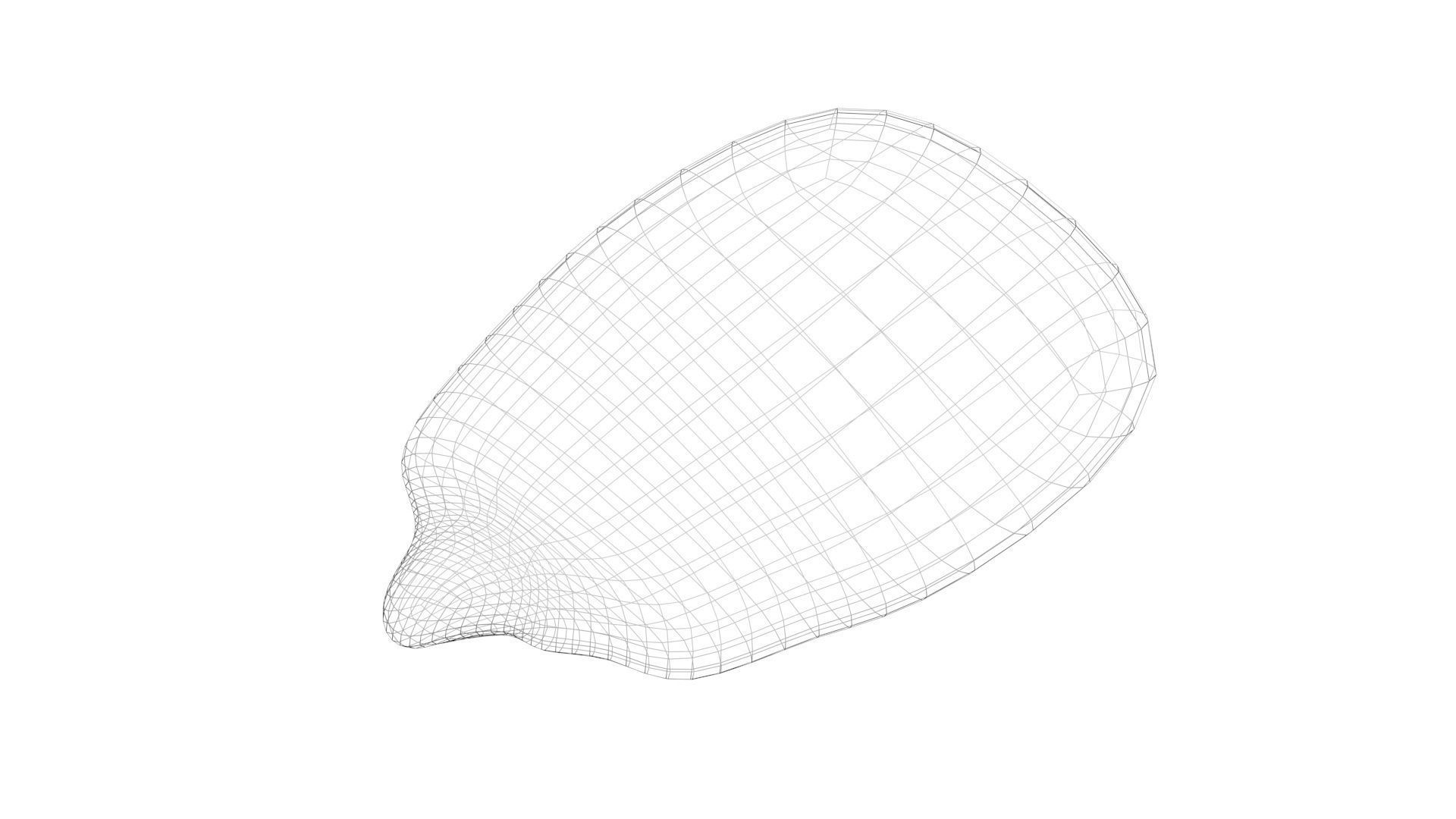 Corn Kernel 3D model_10