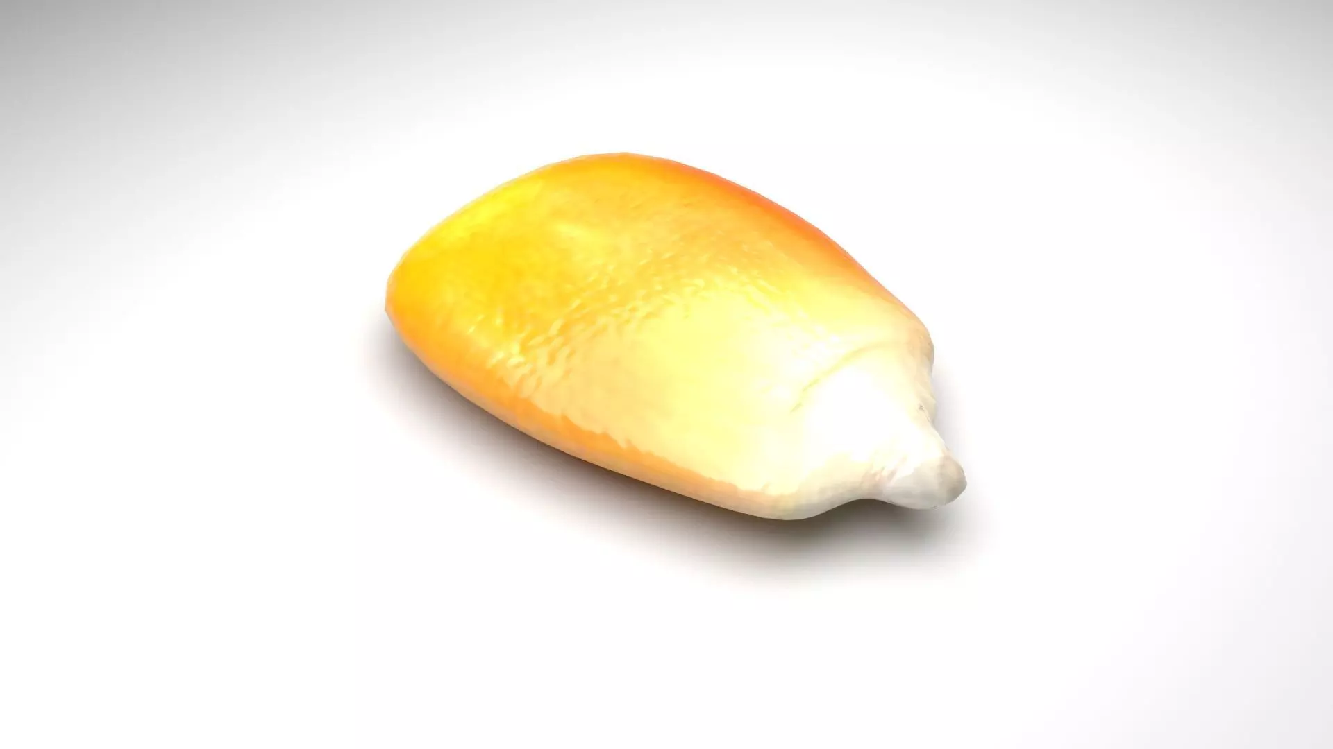 Corn Kernel 3D model_0