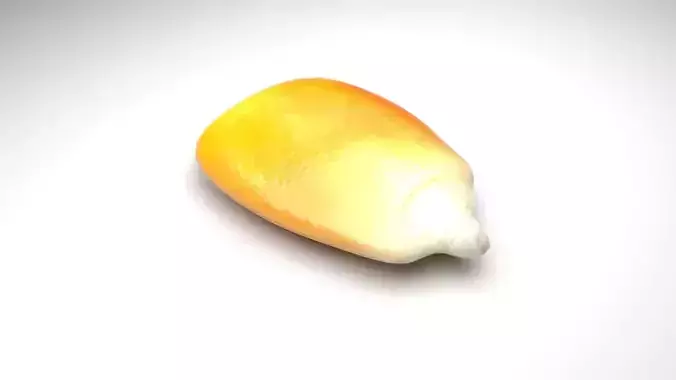 Corn Kernel 3D model