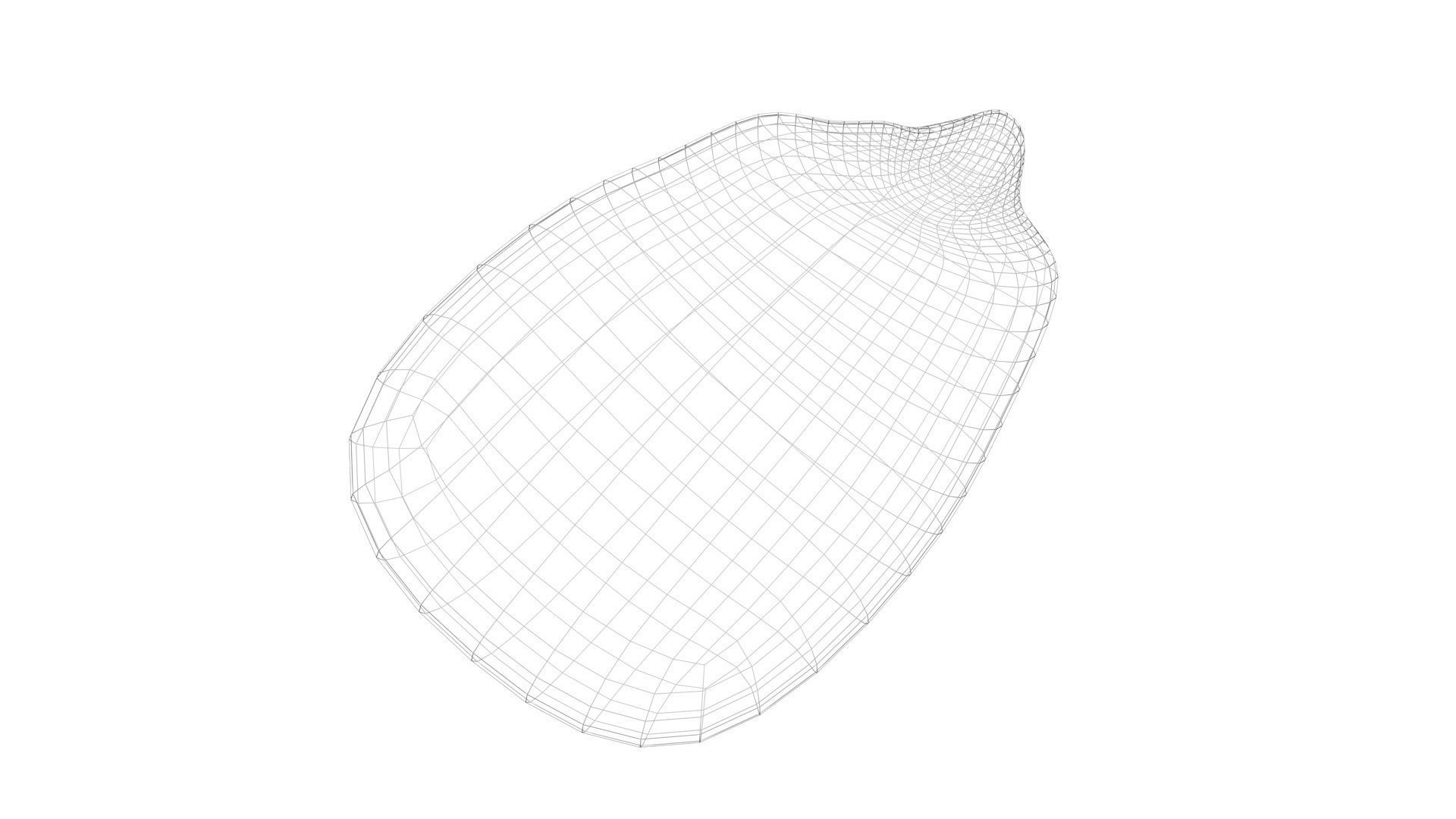 Corn Kernel 3D model_12