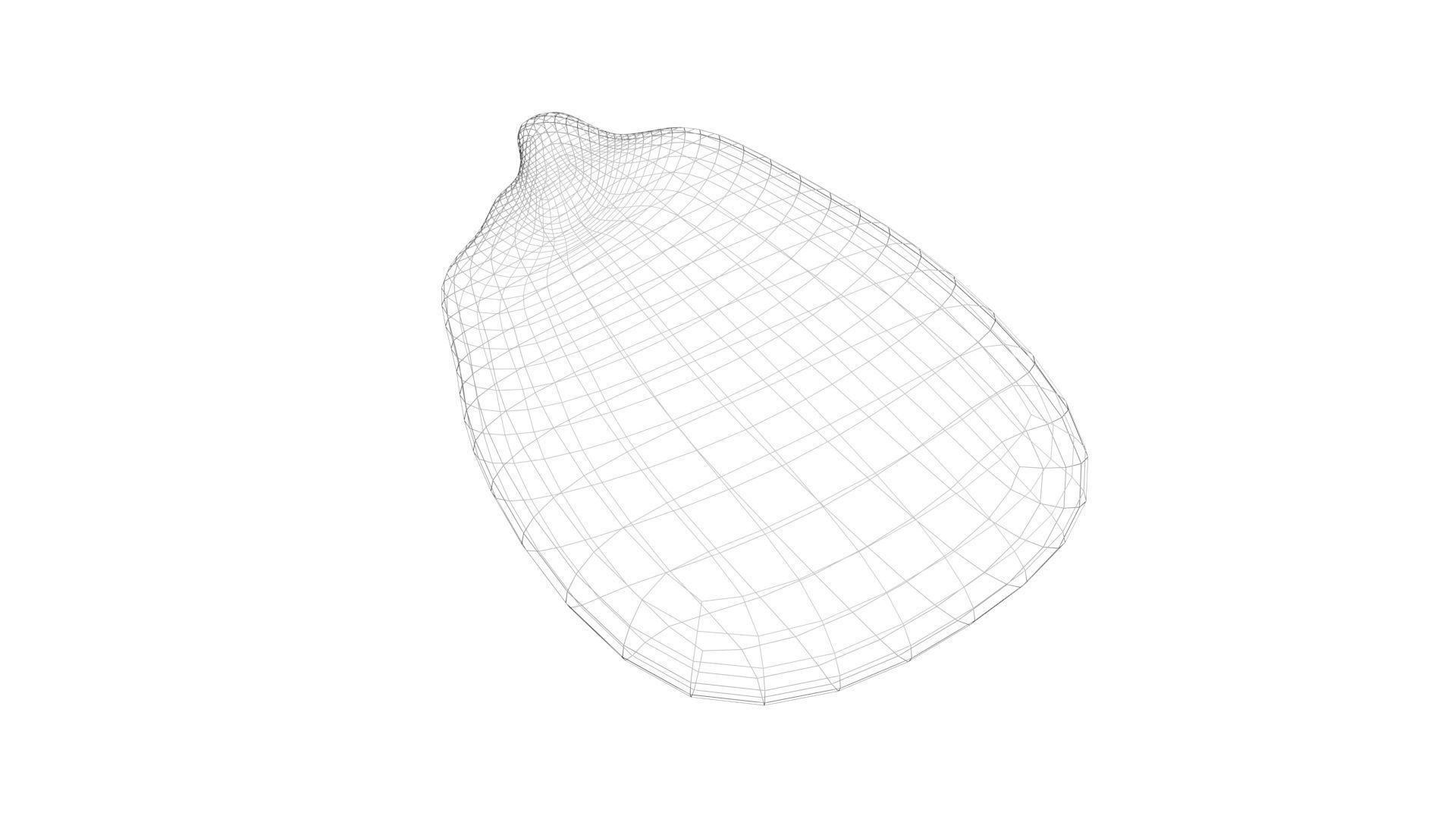 Corn Kernel 3D model_11