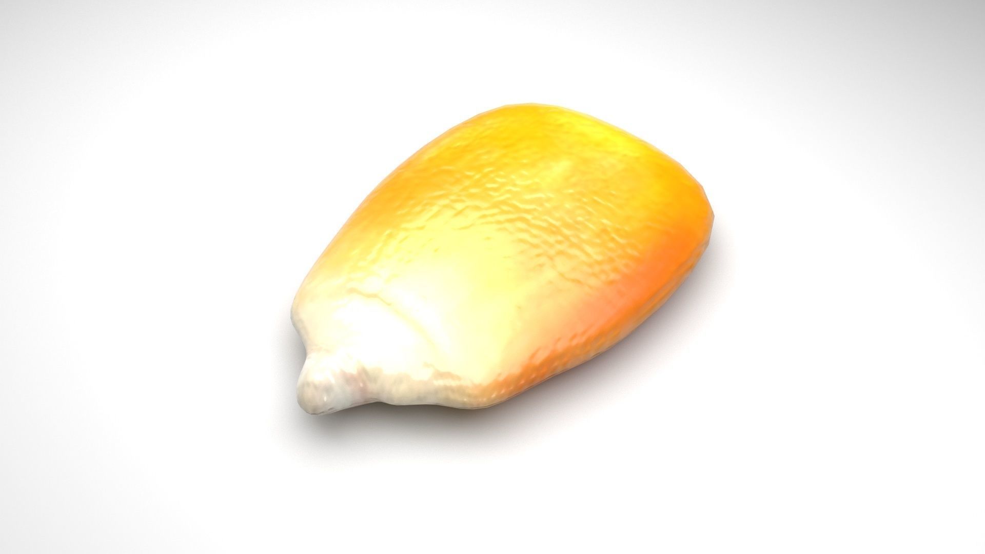 Corn Kernel 3D model_1