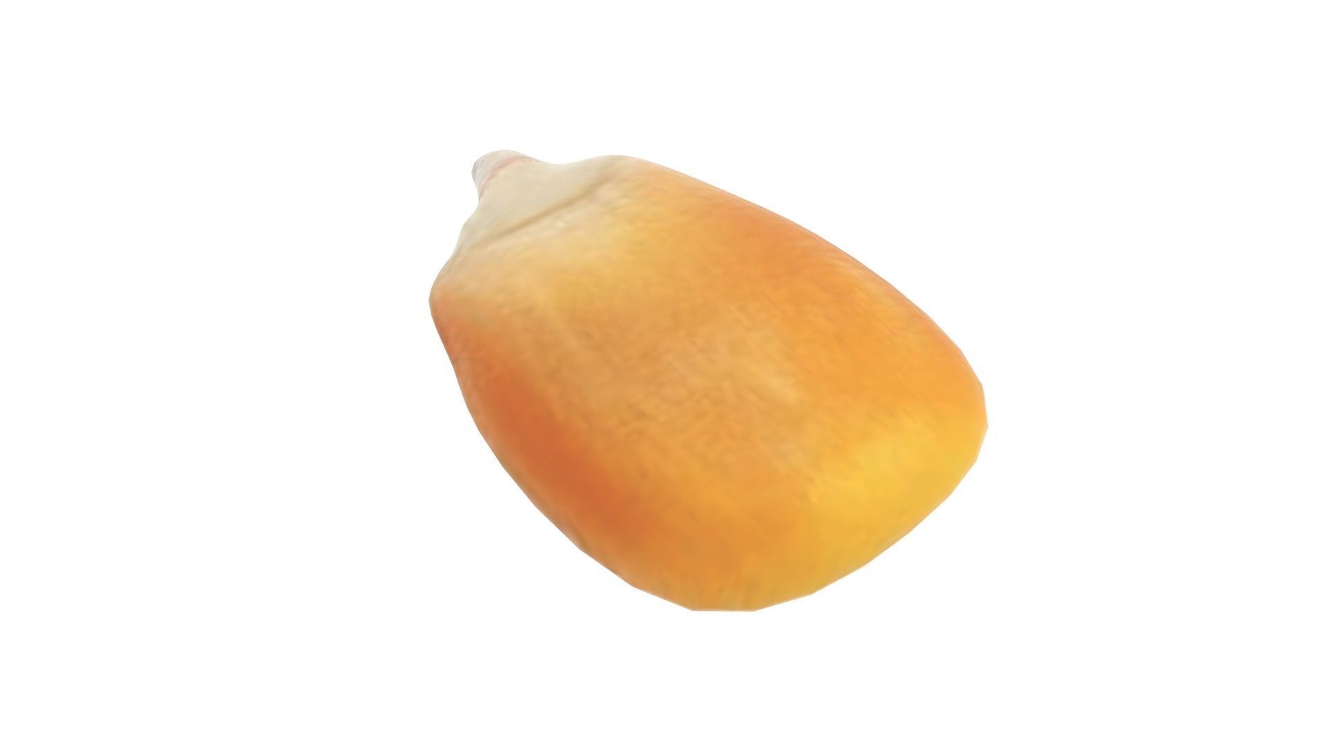 Corn Kernel 3D model_5