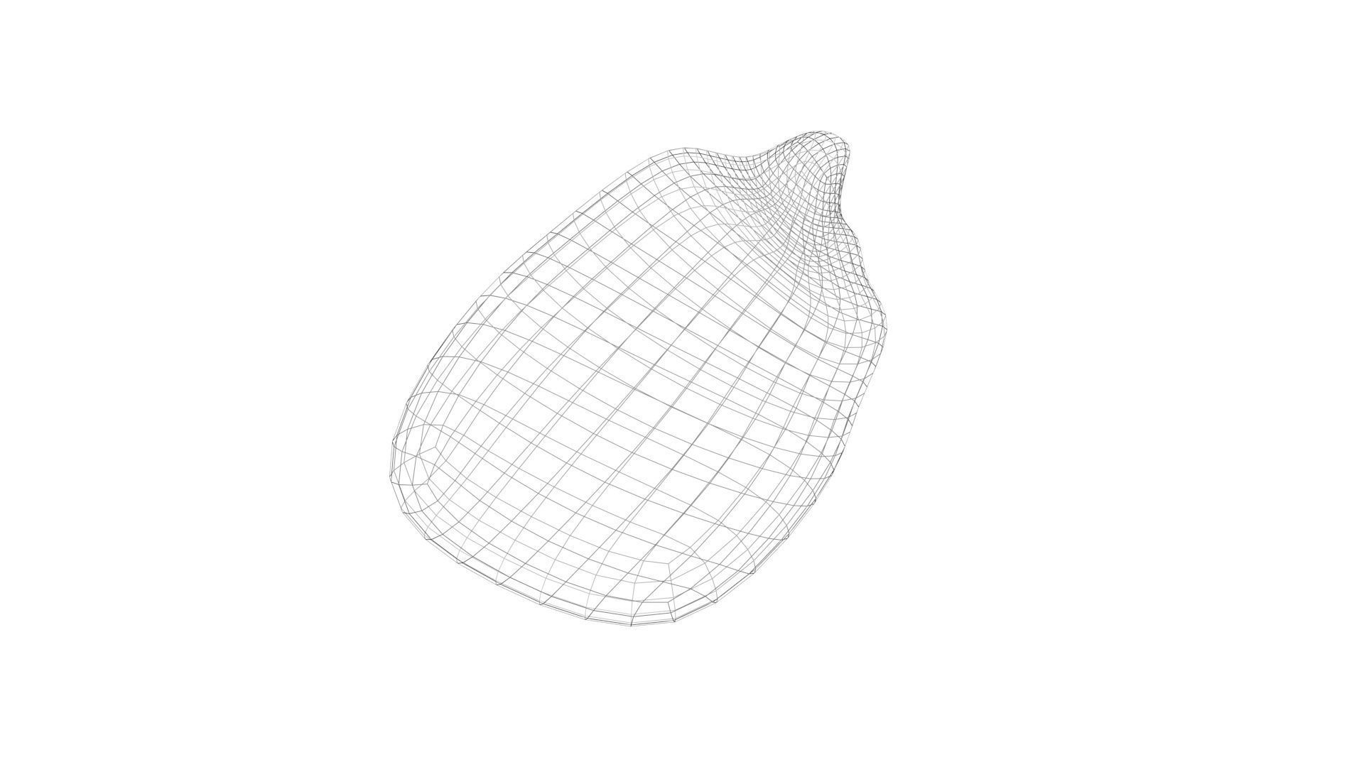 Corn Kernel 3D model_13