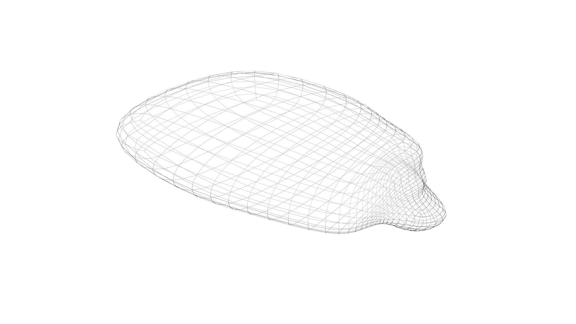 Corn Kernel 3D model_9