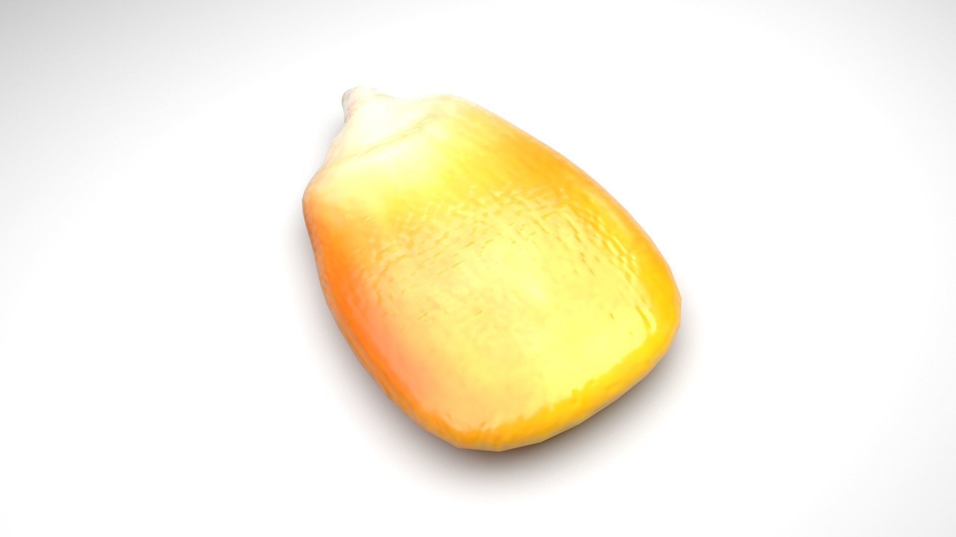 Corn Kernel 3D model_2