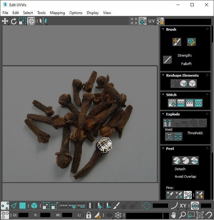 Clove 3D model_28