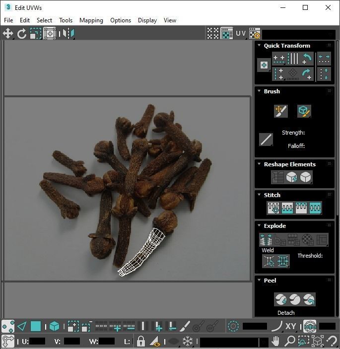Clove 3D model_29