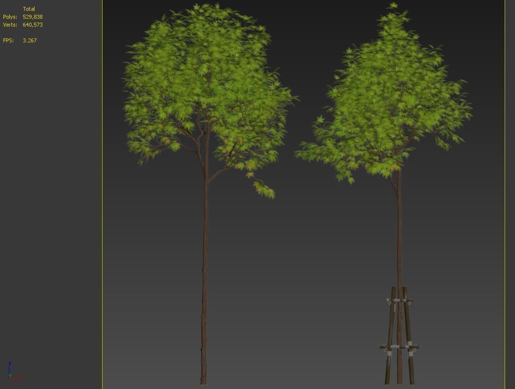 Acer palmatum 3D model_7
