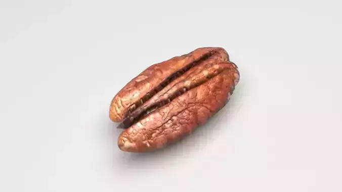 Pecan Nut 3D model