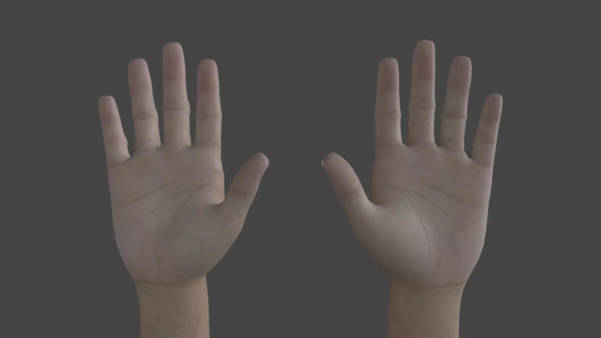 ARMS-003 Rigged Arms Low-poly 3D model_0