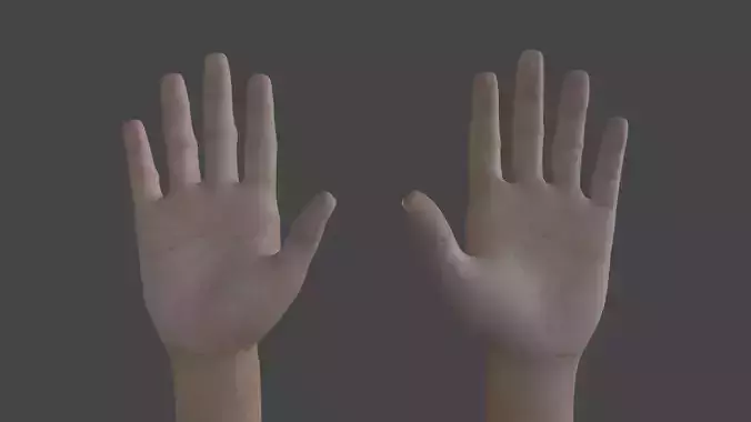 ARMS-003 Rigged Arms Low-poly 3D model