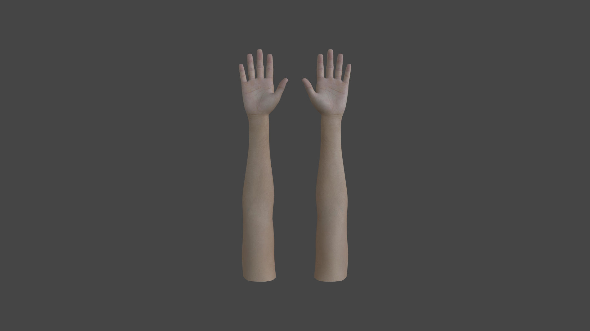 ARMS-003 Rigged Arms Low-poly 3D model_3