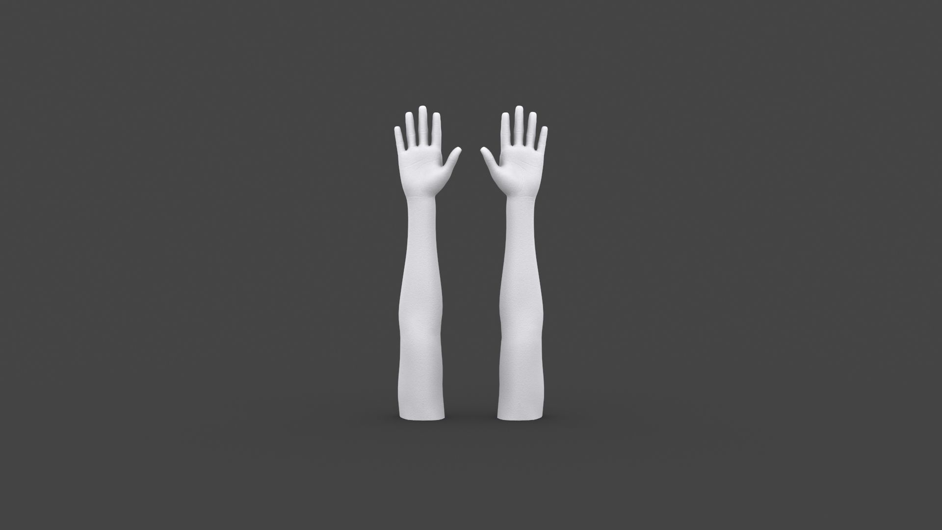 ARMS-003 Rigged Arms Low-poly 3D model_6