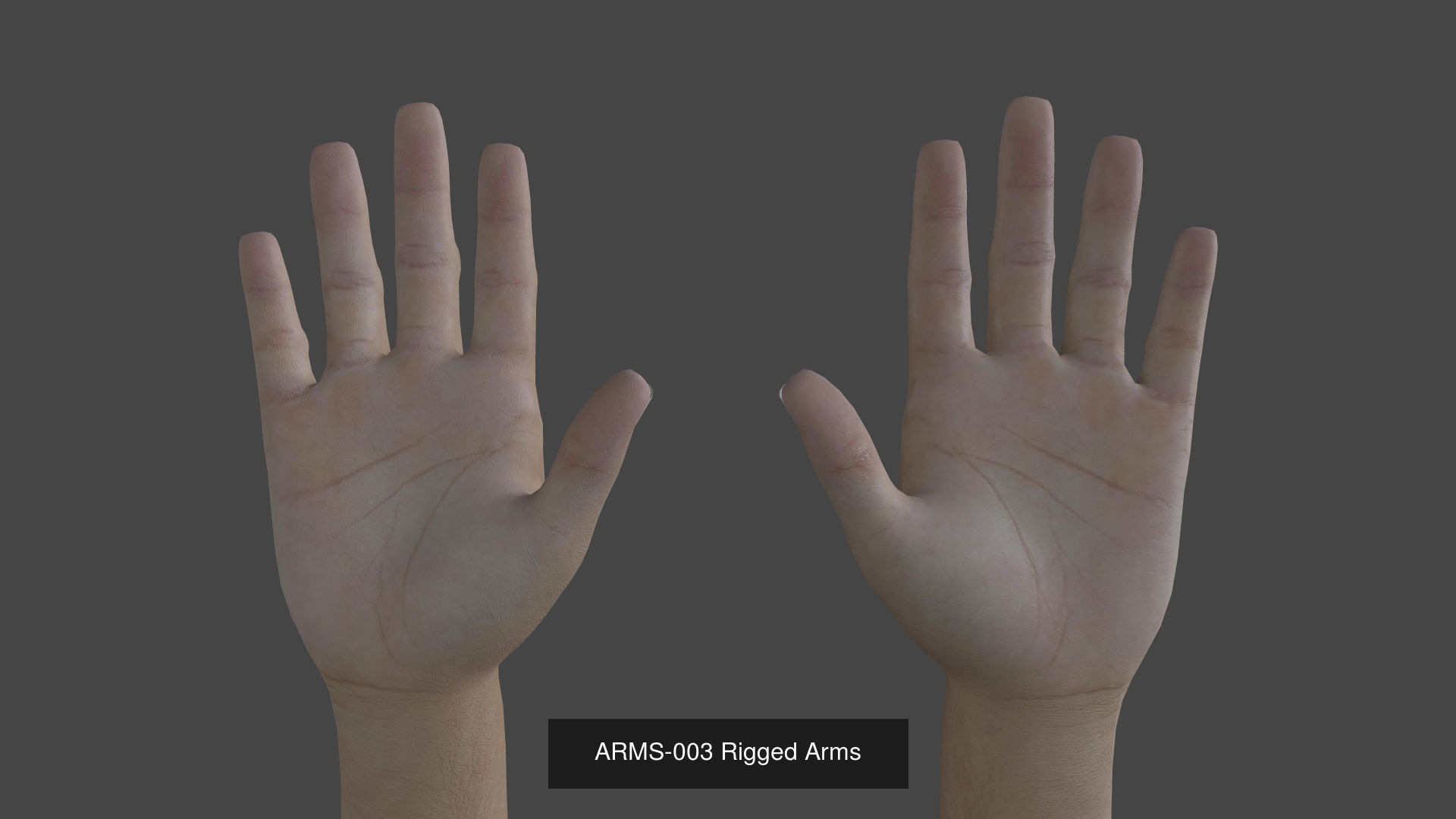 Arms Bundle 3D Model Collection_6