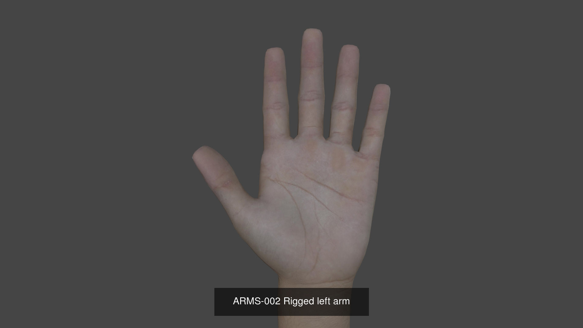 Arms Bundle 3D Model Collection_5