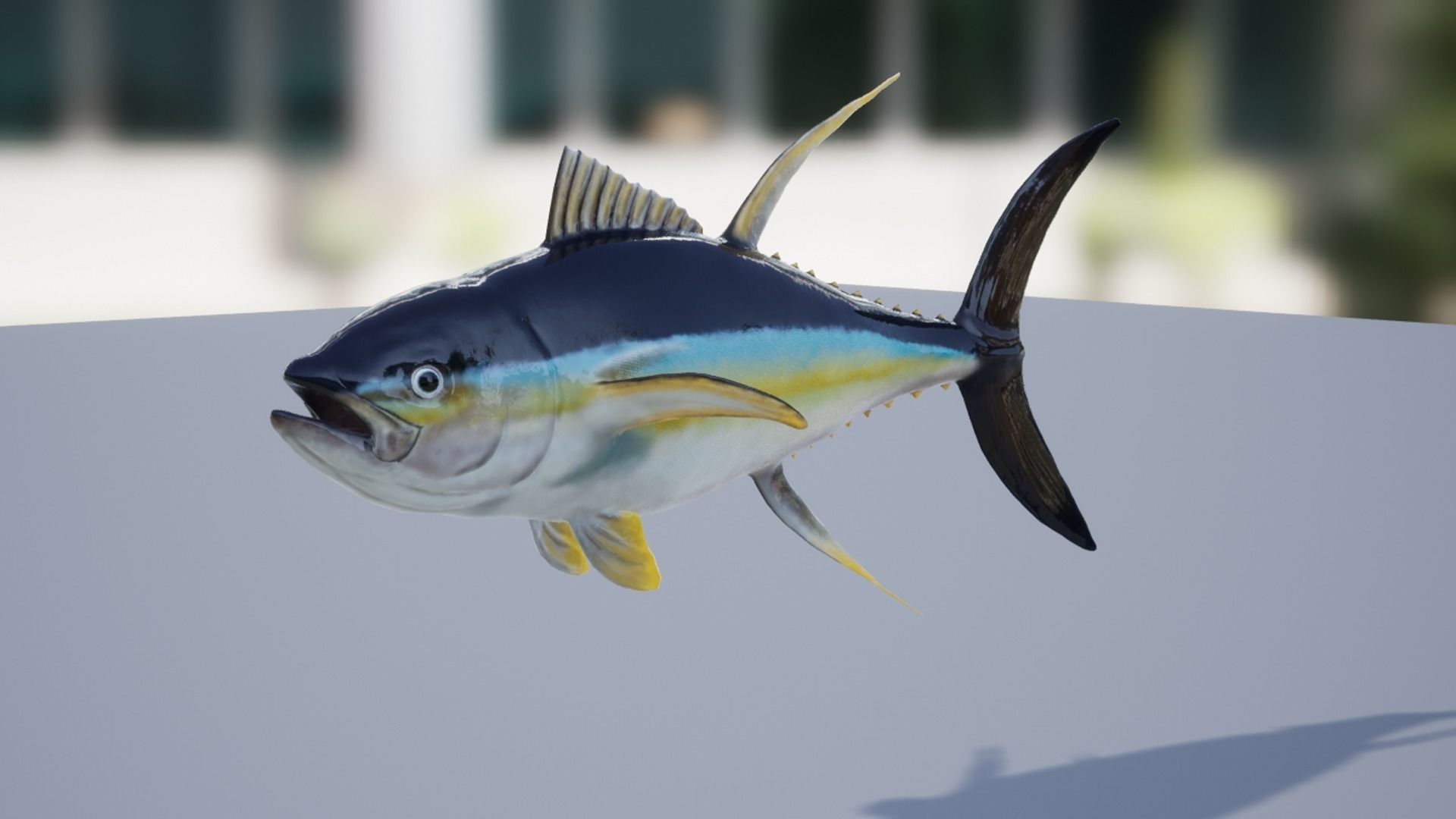 Yellowfin Tuna Low-poly 3D model_8