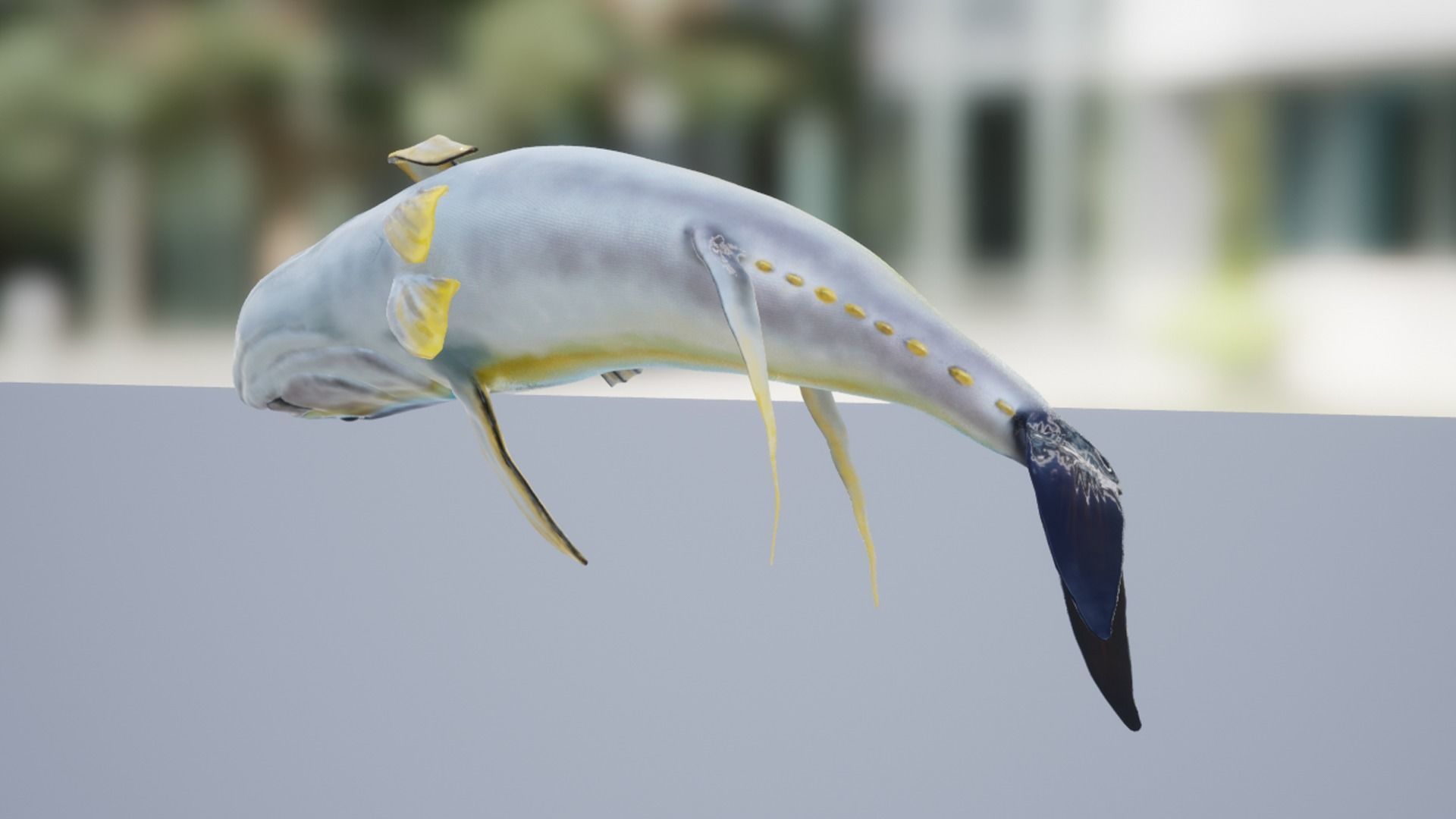 Yellowfin Tuna Low-poly 3D model_12