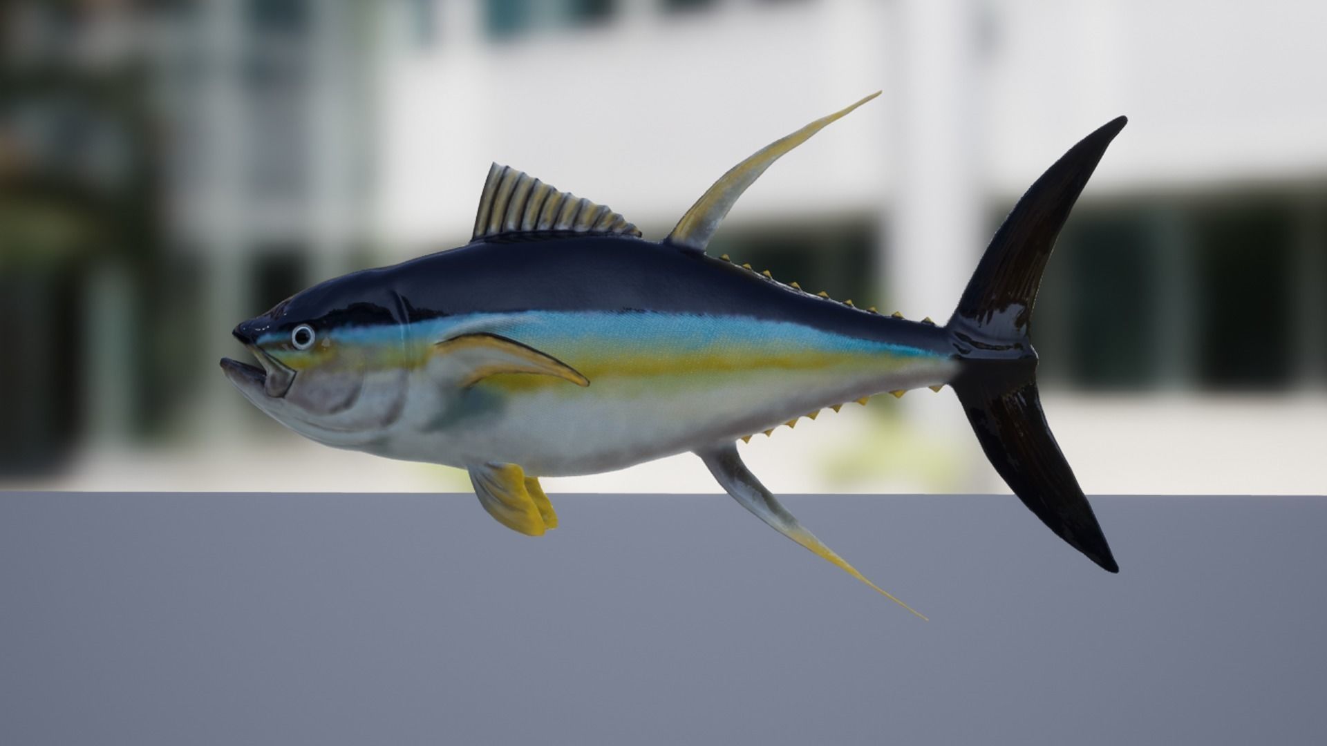 Yellowfin Tuna Low-poly 3D model_6