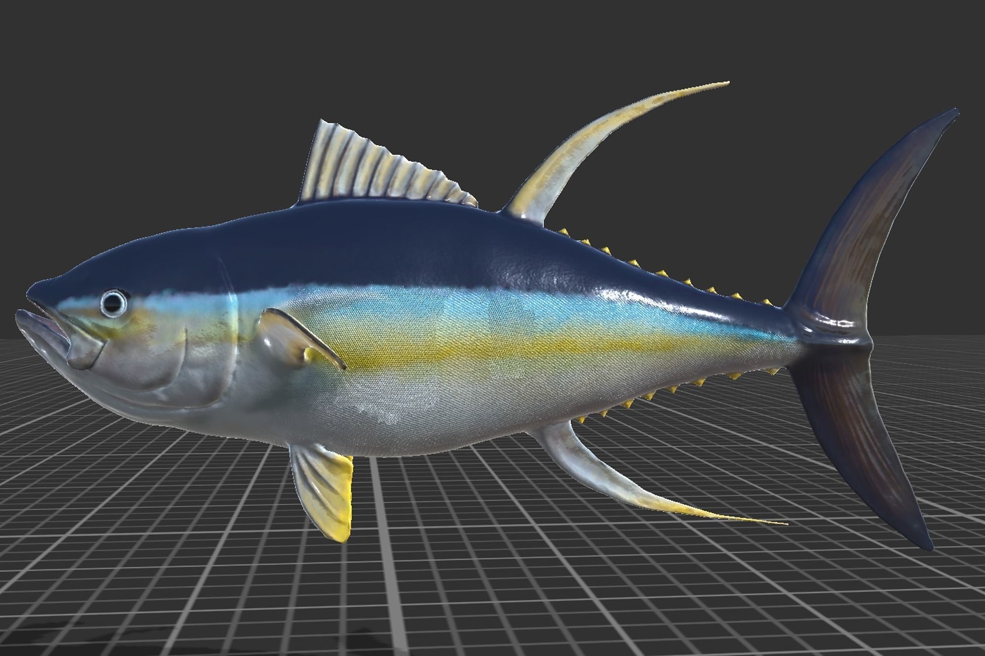 Yellowfin Tuna Low-poly 3D model_2