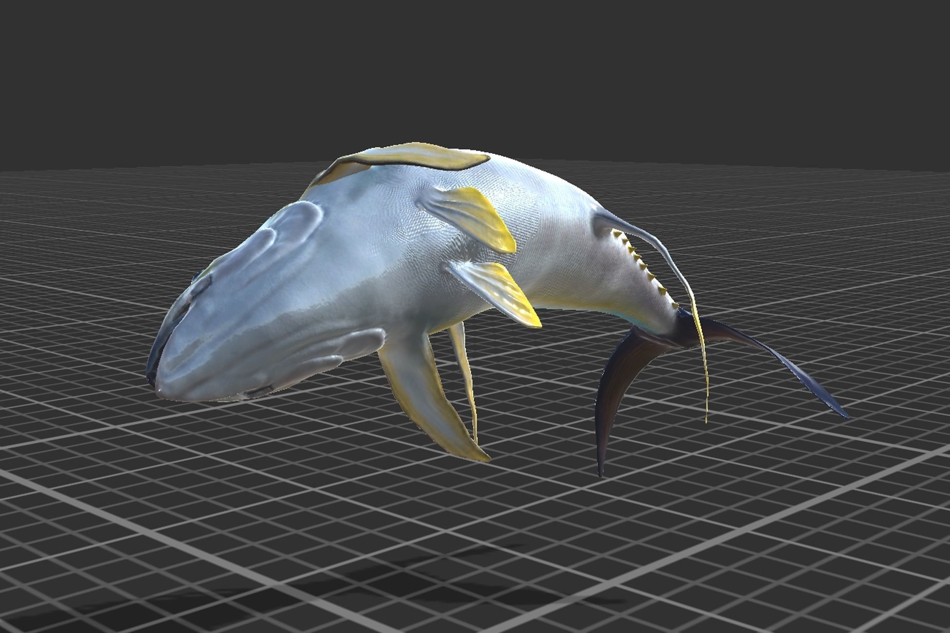 Yellowfin Tuna Low-poly 3D model_9