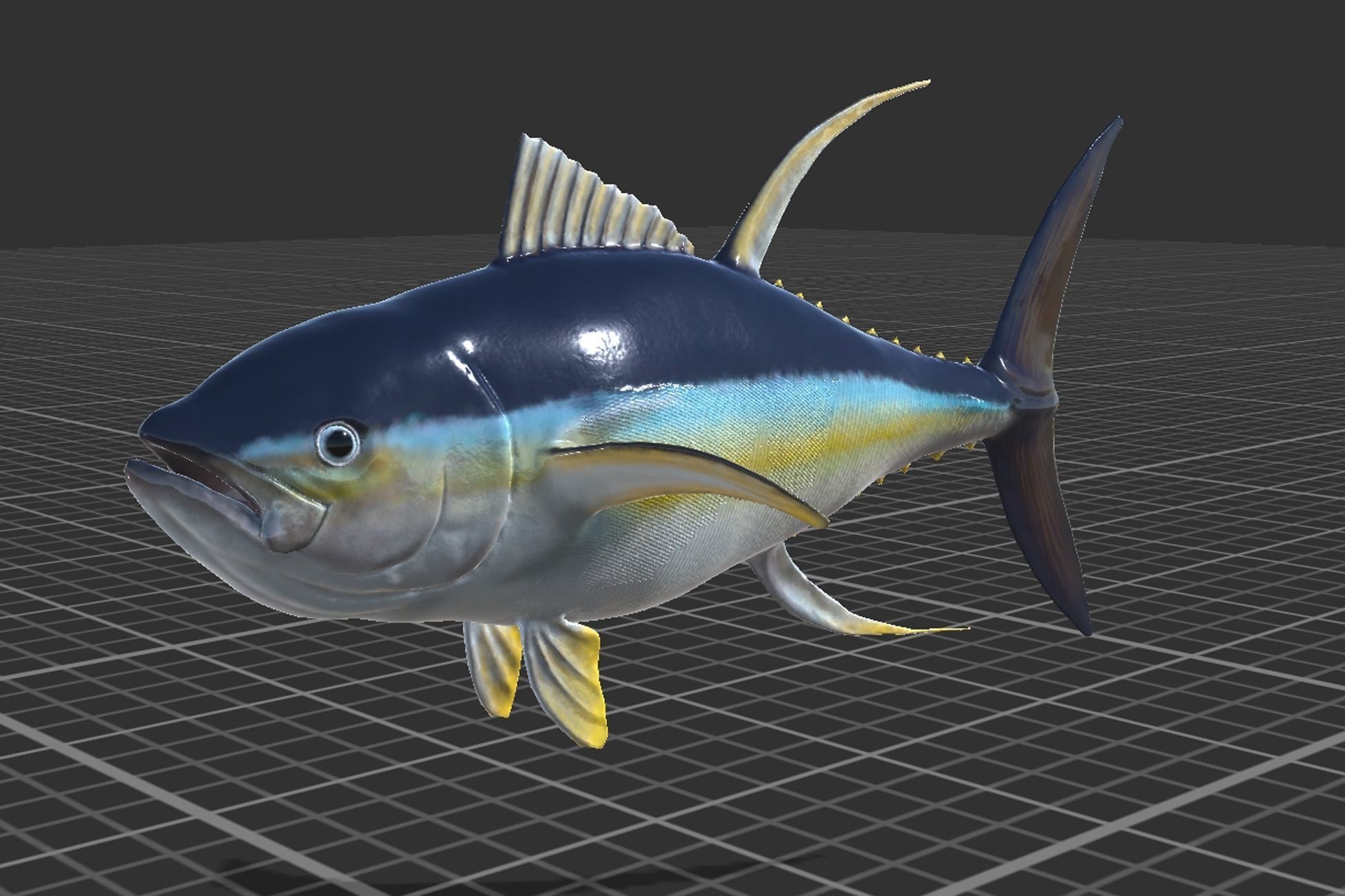 Yellowfin Tuna Low-poly 3D model_3