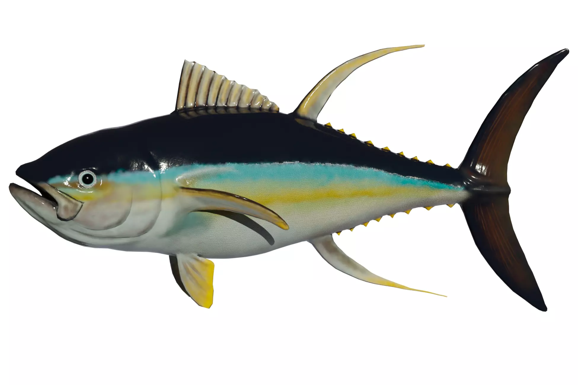 Yellowfin Tuna Low-poly 3D model_0