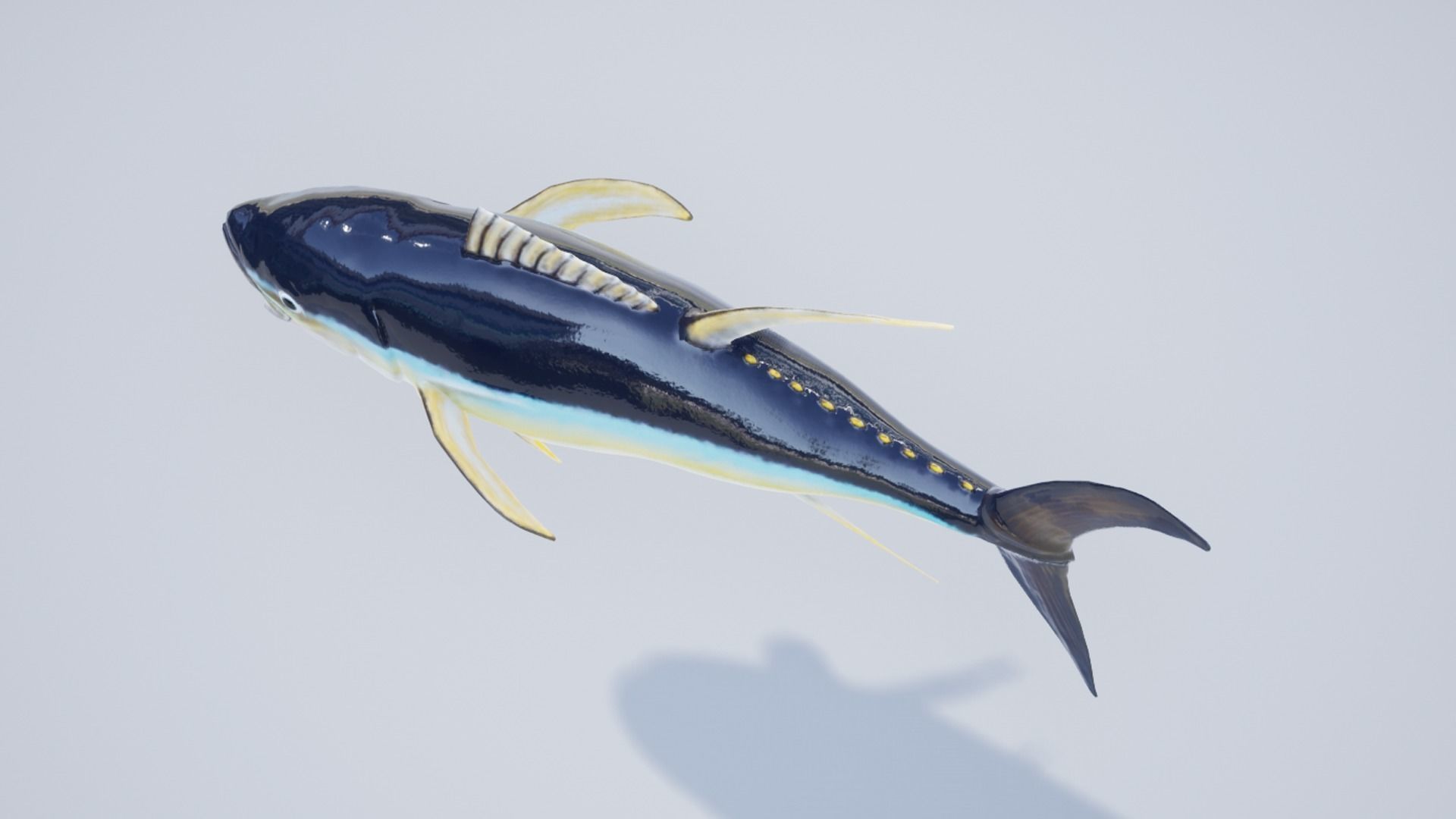Yellowfin Tuna Low-poly 3D model_10