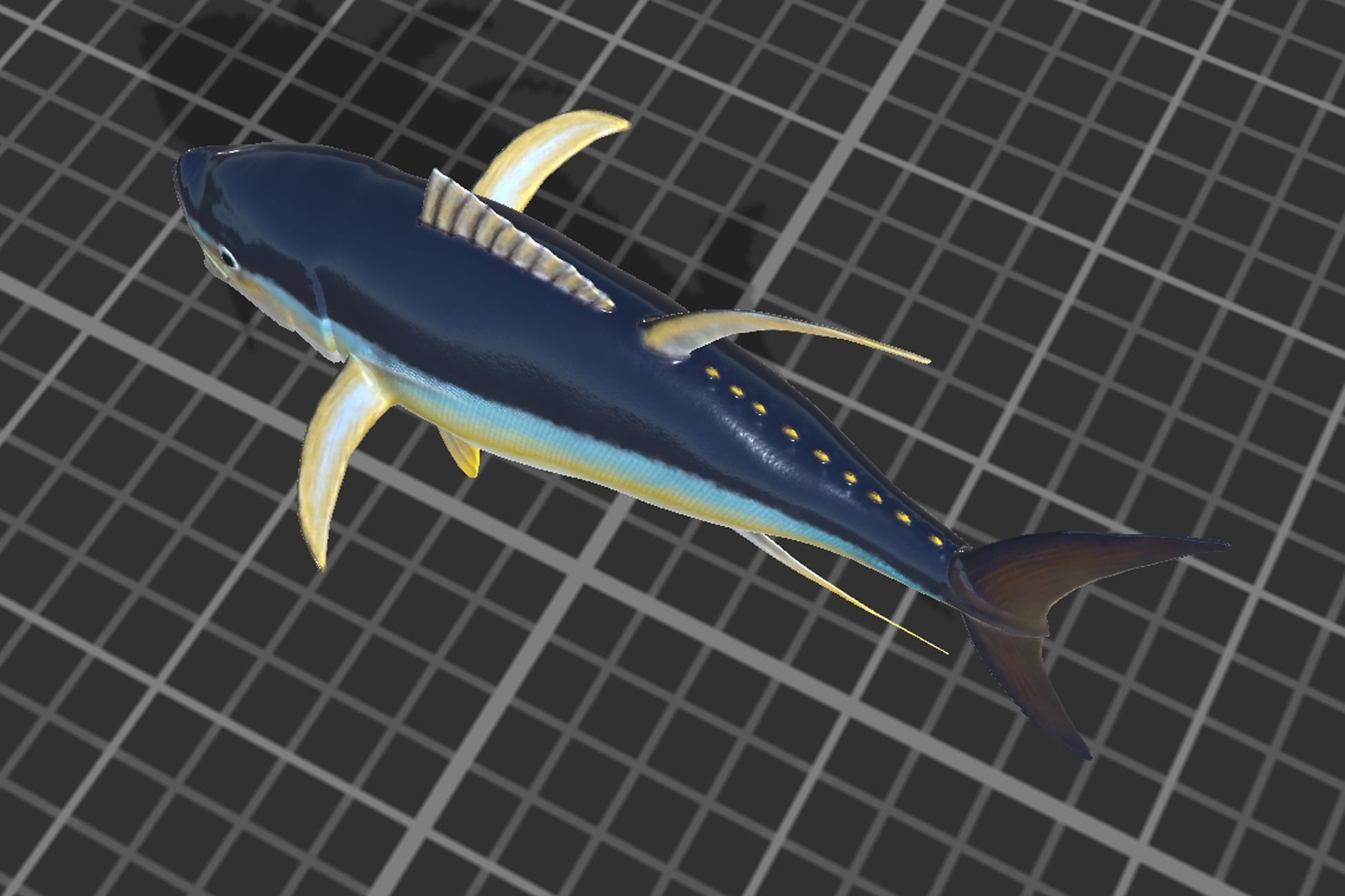 Yellowfin Tuna Low-poly 3D model_4