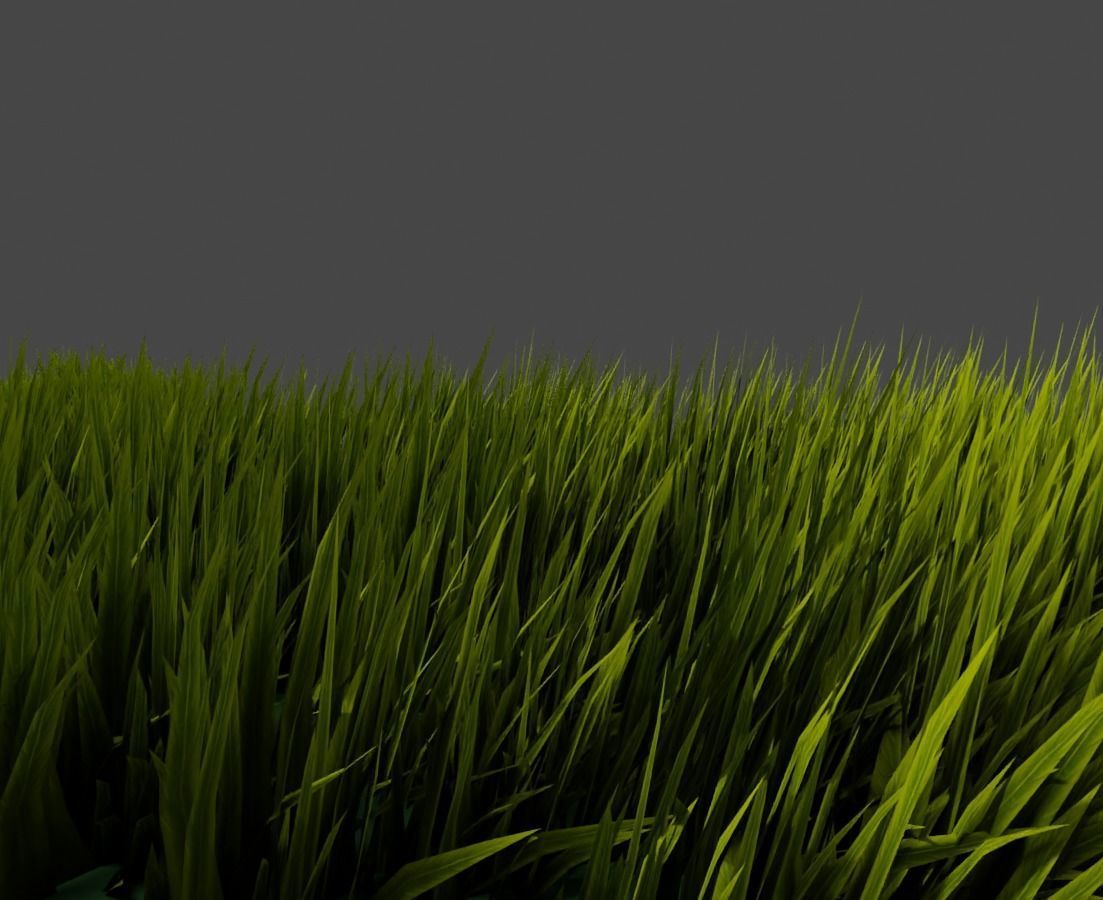 3D model Grass Geometry Nodes Blender VR / AR / lowpoly CGTrader