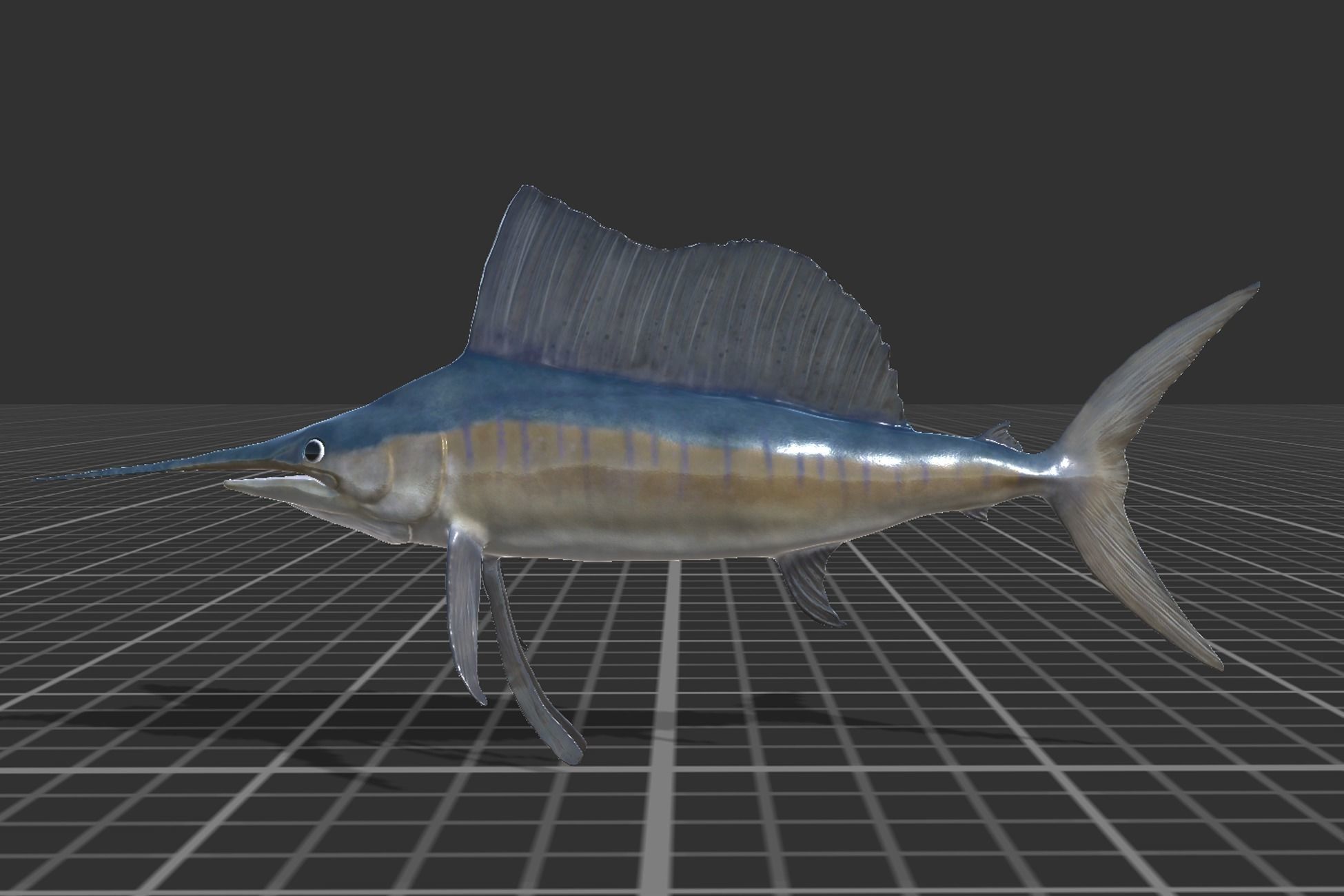 Sailfish Low-poly 3D model_2