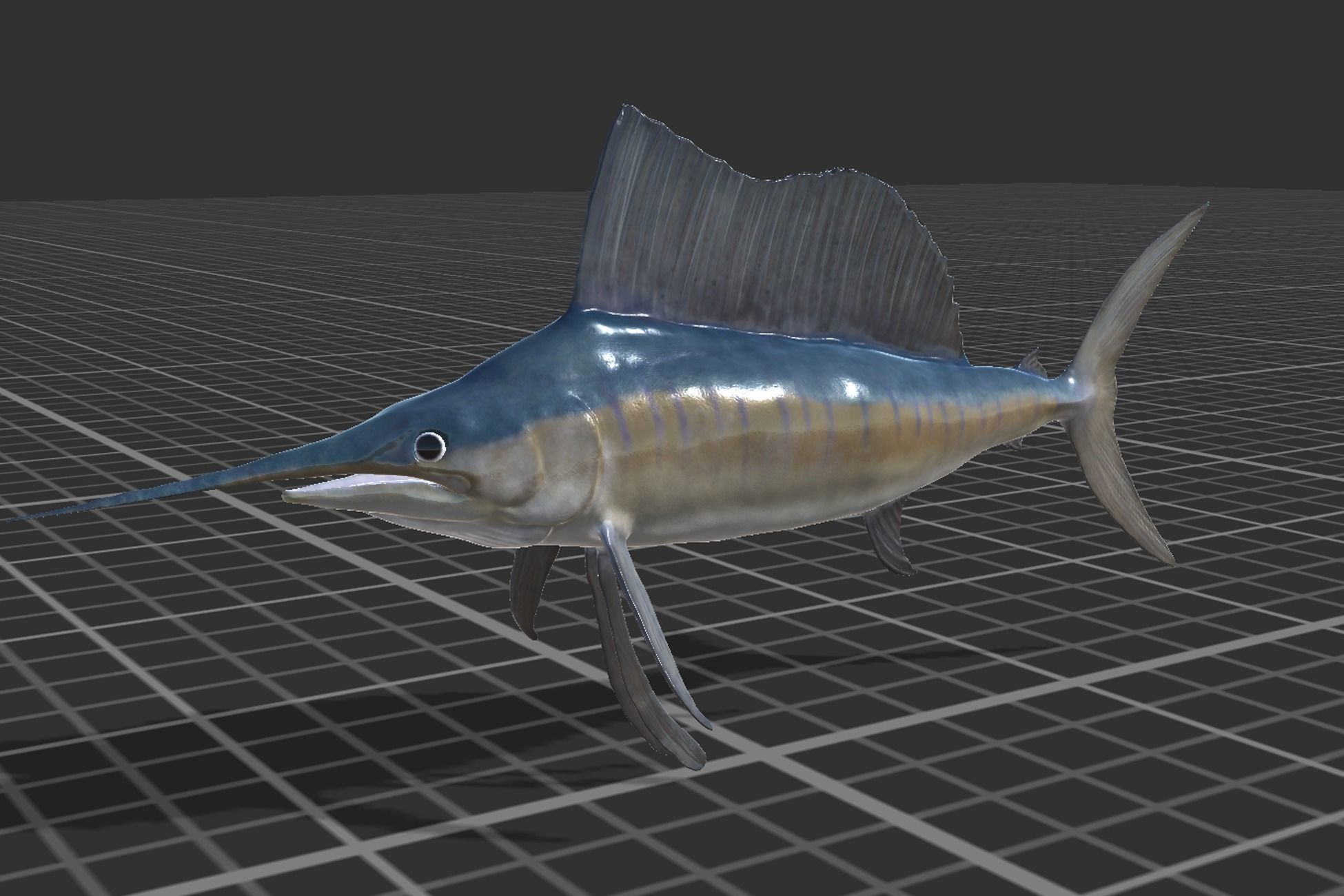 Sailfish Low-poly 3D model_3