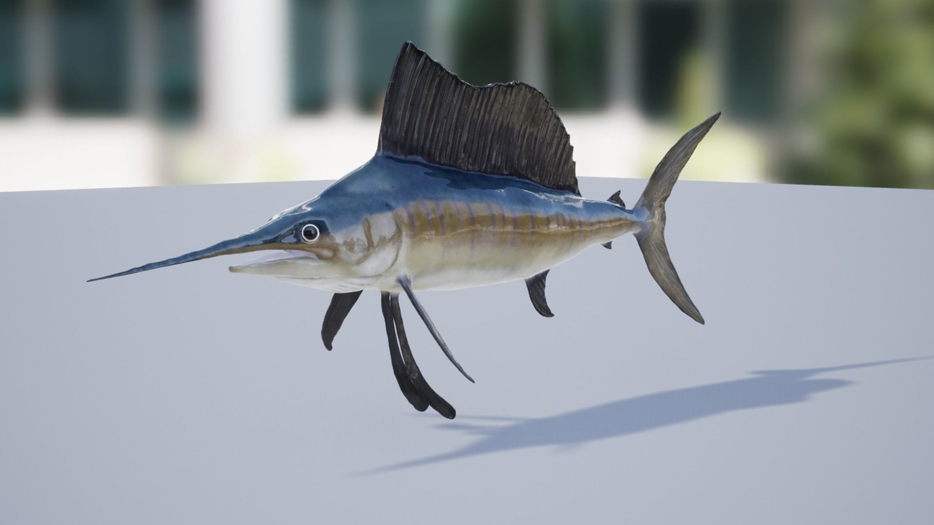 Sailfish Low-poly 3D model_8