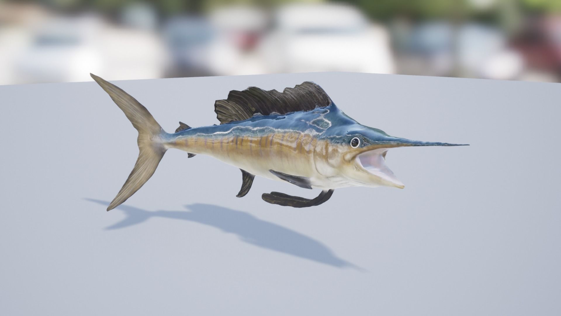 Sailfish Low-poly 3D model_12