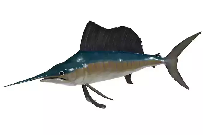 Sailfish Low-poly 3D model