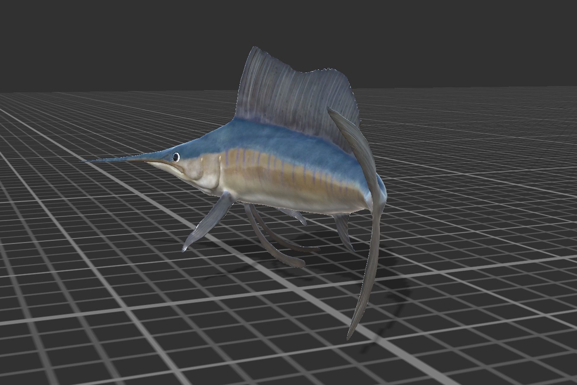 Sailfish Low-poly 3D model_9