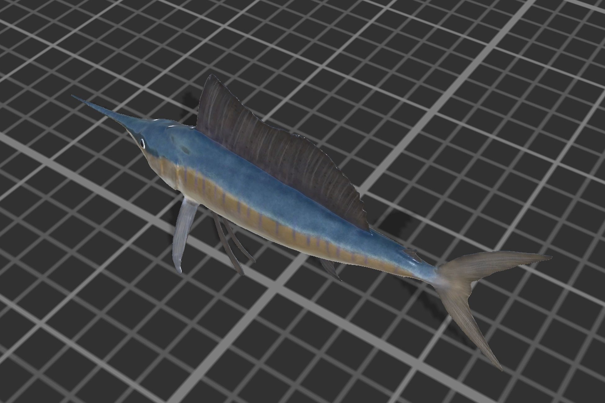 Sailfish Low-poly 3D model_4